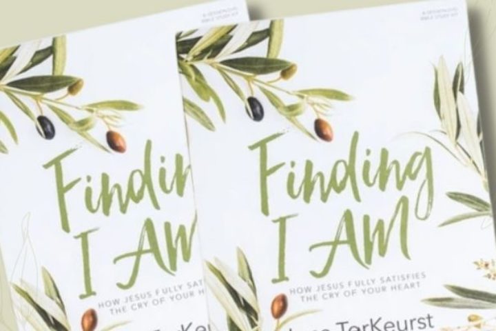 Finding I AM Book